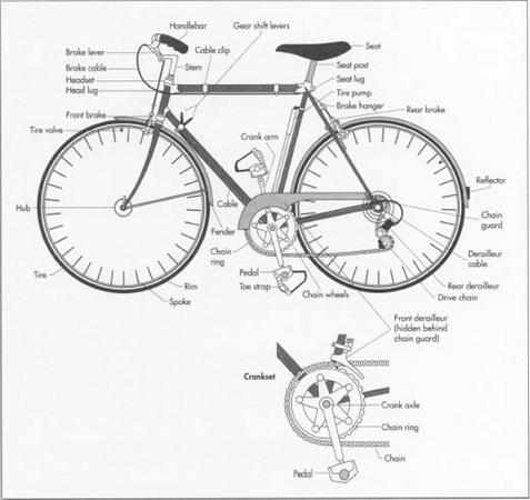 cycle dimensions