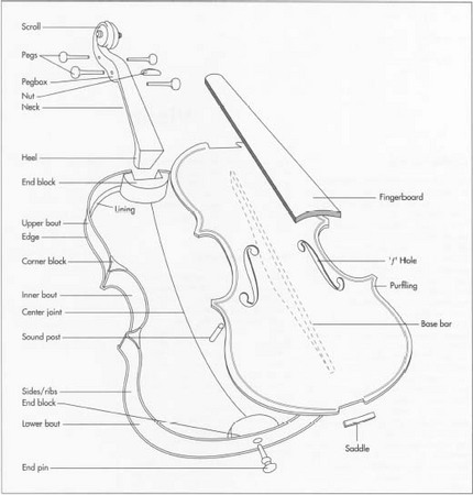 How violin is made - history, used, parts, Tools, Raw Materials