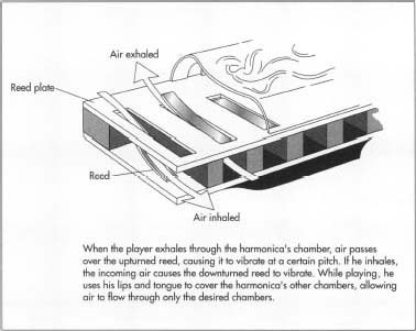 The Different Parts Of A Harmonica: Anatomy And Structure