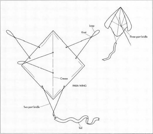 diamond kite bridle