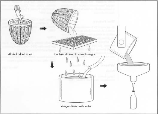 The production of vinegar.